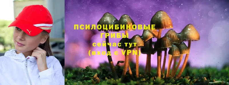 Галлюциногенные грибы Magic Shrooms  где купить наркоту  Алапаевск 